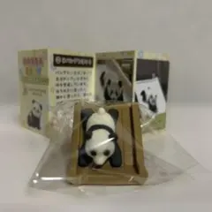 2026年最新】アドベンチャーワールド パンダフィギュアの人気アイテム