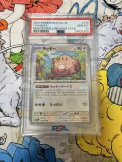 2026年最新】ラッキー マスターボール psa10の人気アイテム - メルカリ