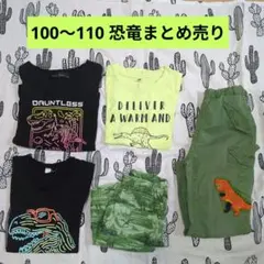 恐竜　まとめ売り　100 110　Tシャツ　長ズボン　パンツ　ステテコ　セット