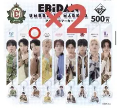 EBiDAN アンブレラマーカー さくらしめじ 髙田彪我