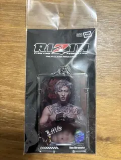 Item thumbnail for item 91f9d06a-5191-4079-aa47-a348a2902975