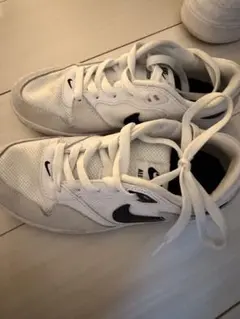 NIKE SB ALLEYOOP ホワイト スエード スニーカー　22.5センチのサムネイル