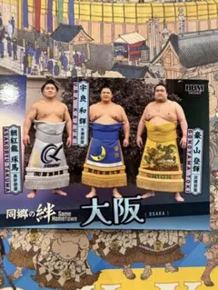 大相撲 BBM 2026 SUMO CARDS 同郷の絆　宇良　朝紅龍のサムネイル