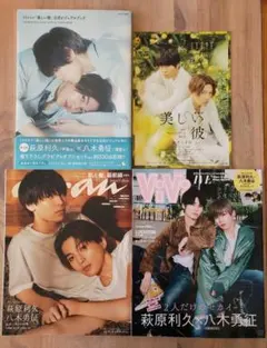 美しい彼　雑誌　まとめ売り　29冊 美しい彼 JUNON 5月号 TVガイド dan vol.46 セット 美しい彼[八木勇