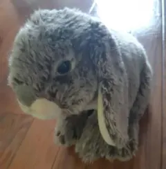 うさぎ ぬいぐるみ 垂れ耳