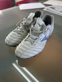 モナルシーダネオ