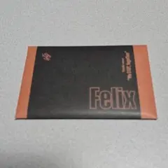 straykids EXHIBITION フォトカードセット フィリックス