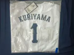 新品未開封】 北海道日本ハムファイターズ 大塚瑠晏 刺繍加工