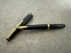 新品 廃盤 パイロット ELITE エリート 万年筆 14k スクリプト ロング