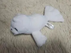 ポケモンフィット ジュゴン