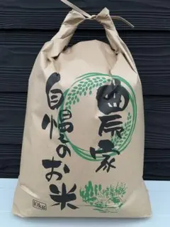 あきたこまち 精米10キロ 精米時期令和8年4月送料無料 - メルカリ