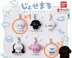 じょせまる　めじるしアクセサリー