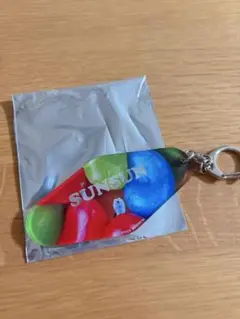 パペットスンスン ポップアップ モーテルキーホルダ　ランダムアクリルキーホルダー