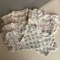 Item thumbnail for item 5acd46fc-040e-47a1-8e5e-cbf7e5f855c2