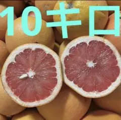 数量限定！訳ありルビーグレープフルーツ10kg 赤果肉 たっぷりお得のサムネイル