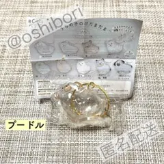 うちの子のけだまだま 犬のけだまだま ガチャ プードル 正規品 匿名配送