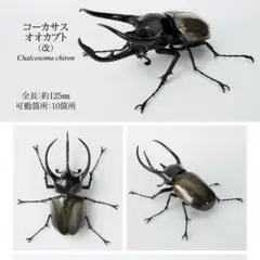 いきもの大図鑑　かぶとむし10 コーカサスオオカブト　改　ガチャ　フィギュア