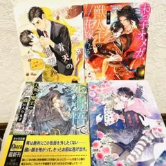 BL小説4冊 まとめ売り