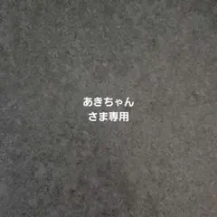 あきちゃんさま専用