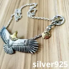 2025年最新】頭金イーグルの人気アイテム - メルカリ