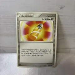 2025年最新】レベルMAXの人気アイテム - メルカリ