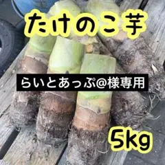 らいとあっぷ様専用