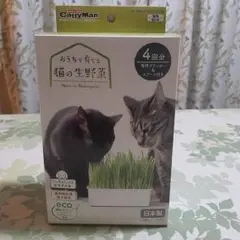 Item thumbnail for item bbdcdd24-63bc-45ae-abb8-b4ad8dac1f4c