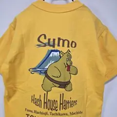 ハッシュハウスハリアーズ　ヴィンテージTシャツ　サイズ実寸　ビッグプリント　古着