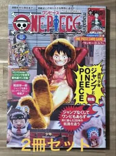 ワンピースマガジン20号 付録付き ワンピースカード　2冊セット