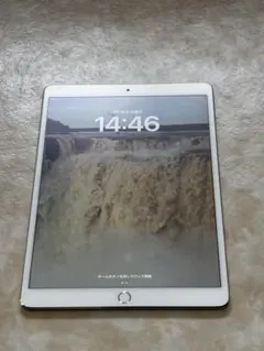 Apple iPad Pro 10.5インチ　SIMなし　3月22日まで