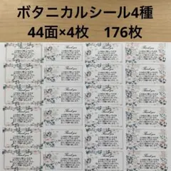 さくら☺フォローで先着3名様1000円引様 リクエスト 2点 まとめ商品