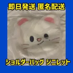 StrayKidsスキズ ペンミ ジニレット リュック - メルカリ