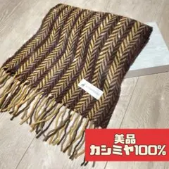 Item thumbnail for item d24cf89d-2fae-403e-9d97-2ed093b9db4e