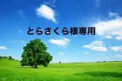 とらさくら様専用 Kaロゴ