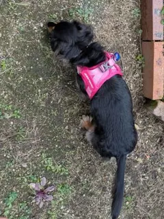 Item thumbnail for item a73ef8ab-68b9-4e75-be3f-58863b120b46