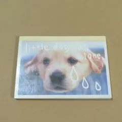 シール付きメモ帳　平成レトロ　当時物　カミオジャパン　イヌ　実写