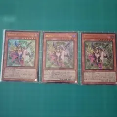 魔術師の弟子－ブラック・マジシャン・ガール デュエルセット 遊戯王