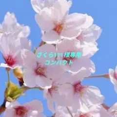 さくら111様専用 コンパクト