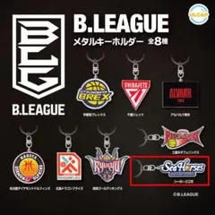 B.LEAGUE メタルキーホルダー 【シーホース三河】