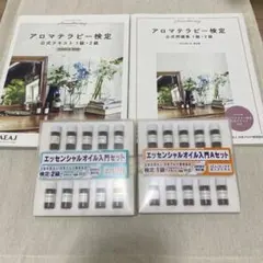 Item thumbnail for item b658f163-dccd-439b-9ba3-cf43971830cf