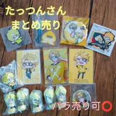 カラフルピーチ たっつんさんまとめ売り