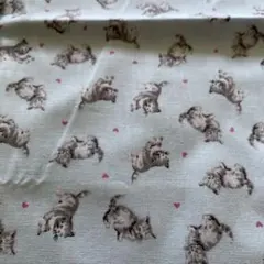 Item thumbnail for item f0f878c1-1fec-406a-9b6e-55d2affd454e