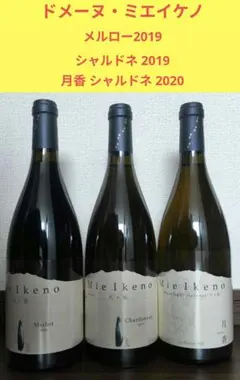 ミエイケノ　シャルドネ　メルロー　2024 2本セット Mie Ikeno シャルドネ＆メルロー 2024 2本セット - メルカリ