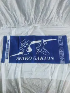 第106回全国高等学校野球選手権 聖光学院 応援タオル 2枚セット 第106回全国高等学校野球選手権 聖光学院 応援タオル 2枚セット - メルカリ