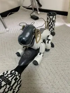 SONY aibo ERS-1000 動作確認済 ACアダプター アイボ - メルカリ