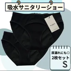 吸水サニタリーショーツ S ナプキン不要 尿もれ対策 2枚組 吸水ショーツのサムネイル