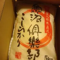 米／魚沼／コシヒカリ／５kgのサムネイル