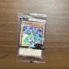 ブルーアイズ　青眼　青眼の白龍　ノーマルパラレルレア