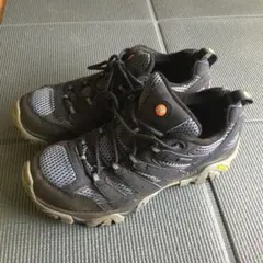 Item thumbnail for item 7e0ebe4e-2f38-4704-9576-c9b4e3ffbf0e