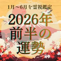 【1月限定鑑定】霊視鑑定/恋愛/人間関係/仕事/人生/金運/占い